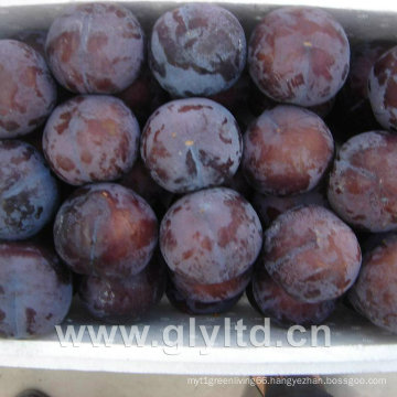 Chinese Fresh Sweet Black Plum